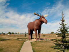 Mac the moose, Moose Jaw, Canada