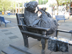 Sheep