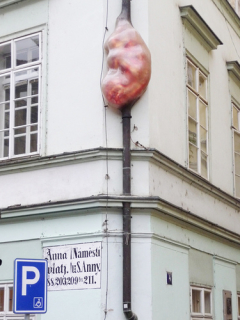 Embryo, Praha