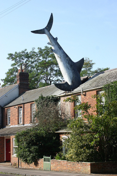 The Headington Shark