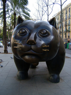 El gat del  Raval, Barcelona