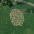 Fingermaze, Hove