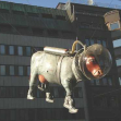Cosmonaut cow