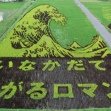 Rice paddy art in Inakadate